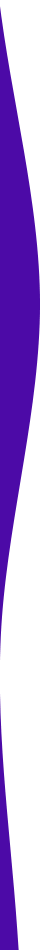 https://hamamgy.com/wp-content/uploads/2021/03/purple-detail-left.png
