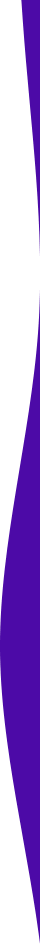 https://hamamgy.com/wp-content/uploads/2021/04/purple-detail-right.png